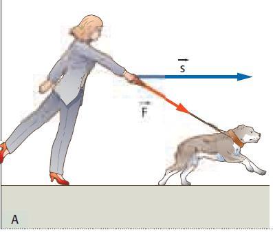 Forza e spostamento non paralleli Caso del cane a guinzaglio: il cane compie lavoro per spostarsi in orizzontale applicando una forza diretta lungo il guinzaglio.