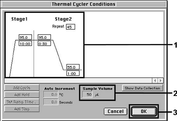 8.5.2.4 Creazione del profilo della temperatura Per inserire il profilo della temperatura passare al menu Thermal Cycler Conditions nella videata Setup. Inserire conformemente a Fig.