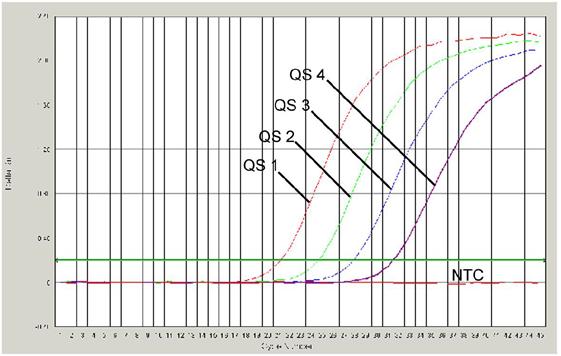 Fig. 23: Rilevazione degli Standard di quantificazione (VZV LC/TM QS 1-4) mediante la rilevazione di un segnale di