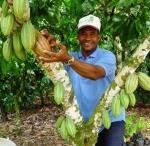 CONACADO Paese: Repubblica Dominicana Fondazione: 1988 Persone coinvolte: oltre 10,000 agricoltori Sito: www.conacado.