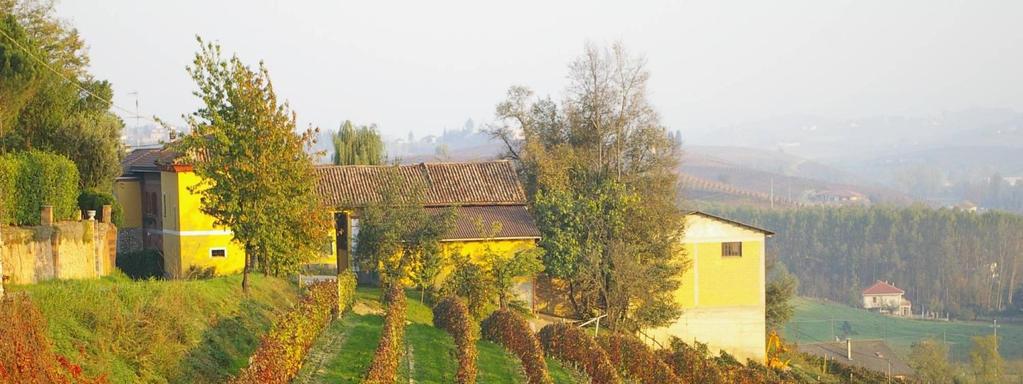 IL BISOGNO DI PAESAGGIO Il paesaggio è un bisogno