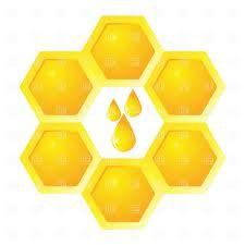 ...E PROSSIMAMENTE BeeCampus Corso Professionalizzante per l'approfondimento dell'apicoltura Biologica ARGOMENTI del CORSO 1a Lezione.