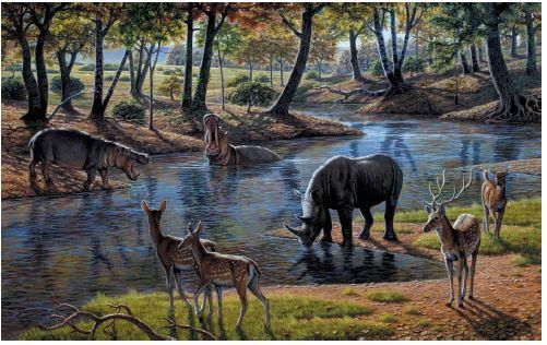 Mammoths, sabertooths, and hominids - 65 million years of