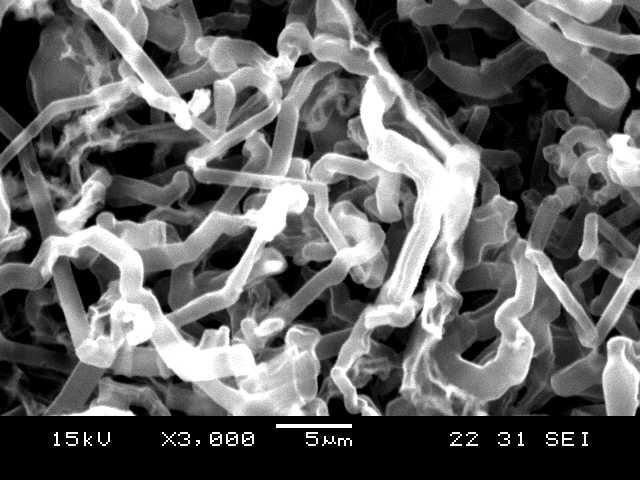 Modello schematico di crescita dendritica Lithium Cathode Lithium Neutral lithium SEI layer e- Dead lithium SEI