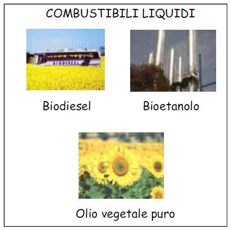 Biocombustibili liquidi