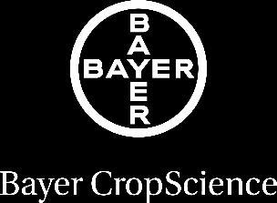 Prova difesa septoria-fusariosi Bayer ATTIVITA 2016 Prove di efficacia di alcune strategie di difesa.