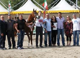 MEDAL CHAMPION STALLIONS KARICE WH JUSTICE x COL CARISMA O: