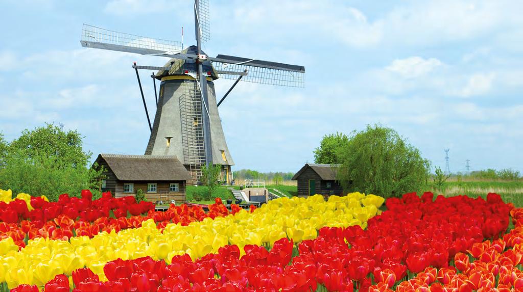 più grande parco floreale al mondo: oltre 7 milioni di fiori da bulbo: tulipani ma anche giacinti, iris, gigli, narcisi, rose, garofani, orchidee.