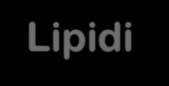 Lipidi (Acidi Grassi) Acidi