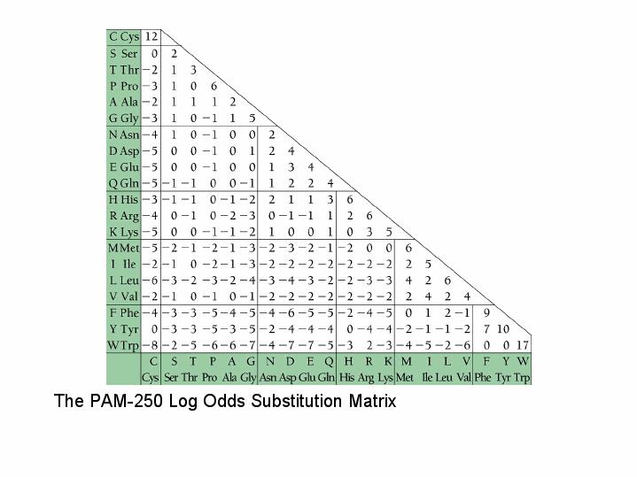 PAM250 matrice di Dayhoff!