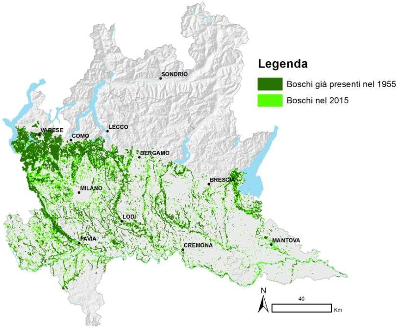Evoluzione recente delle foreste planiziali lombarde Elaborazione