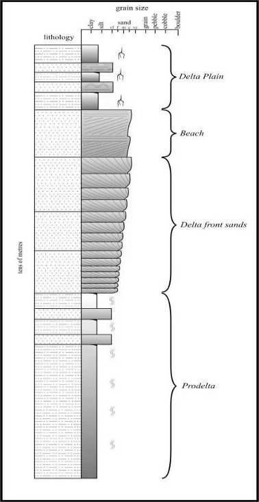 Una SPIAGGIA può progradare, costruendo una sequenza sedimentaria di tipo coarsening-upward Il suo spostamento nello spazio e nel tempo è