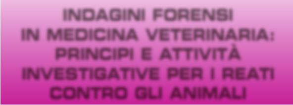 PRINCIPI E ATTIVITÀ INVESTIGATIVE PER I