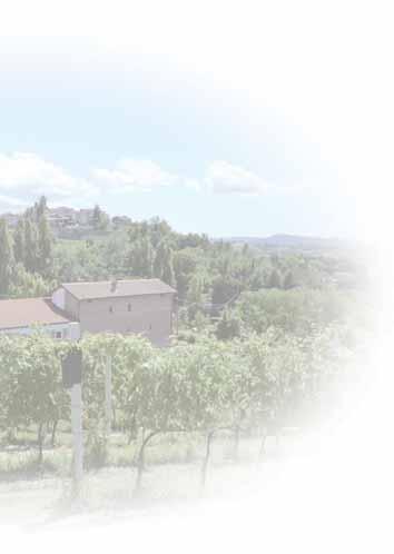 Ca del Bric: vini biologici che raccontano il territorio Mio nonno era di Strevi, ed io pur essendo nato a Bergamo su queste colline ho trascorso tutte le estati della mia giovinezza: finché nel