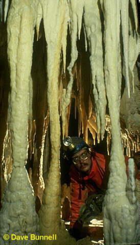La stalagmite può crescere in