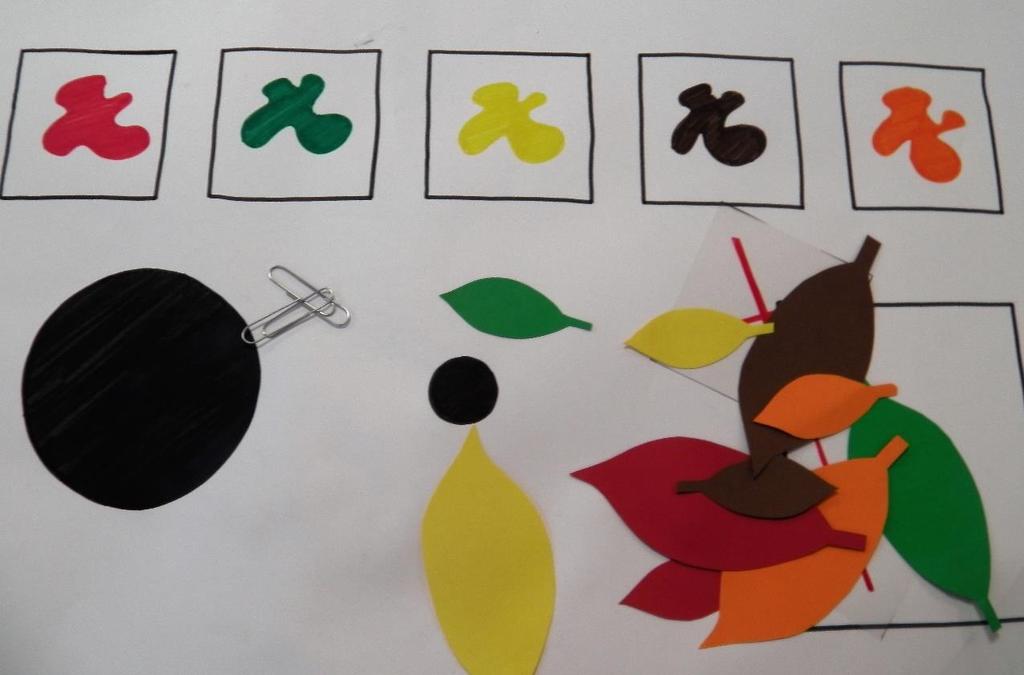 Approfondiamo l osservazione (5 anni) Il gioco delle foglie Gioco 1: la maestra sceglie una foglia e i bambini segnano con le crocette le