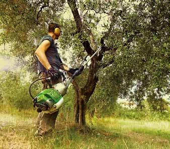 Abbiamo a vostra disposizione un ampia gamma di scuotitori suddivisi in base al tipo di alimentazione della macchina: elettrica, a batteria o con motore a scoppio.