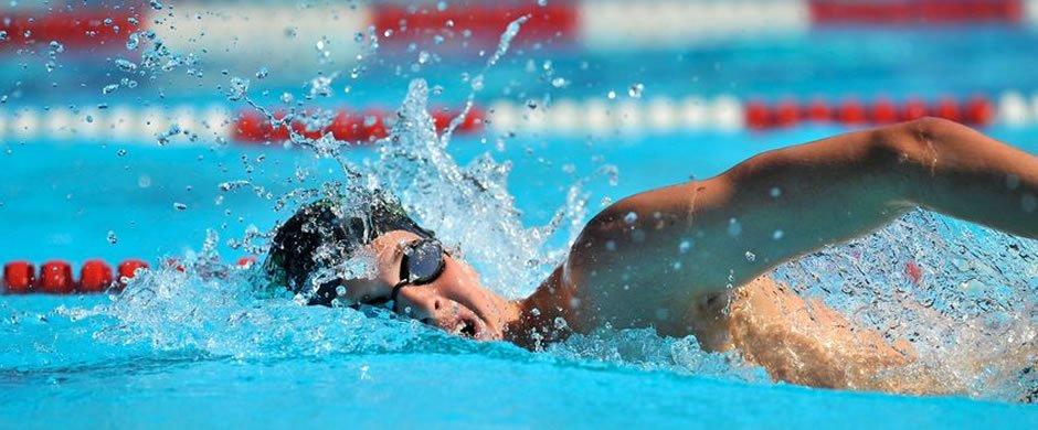 FEDERAZIONE ITALIANA NUOTO COMITATO REGIONALE PUGLIESE REGOLAMENTO SETTORE NUOTO ATTIVITA AGONISTICA 2016/2017 RESPONASABILI DI SETTORE: Coordinatore Attività Agonistica: