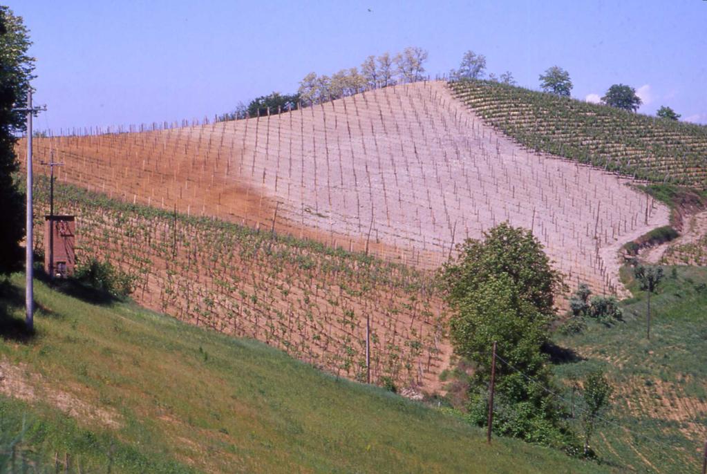 Fattore C (copertura del suolo) Il fattore adimensionale C esprime il rapporto tra la perdita di suolo in