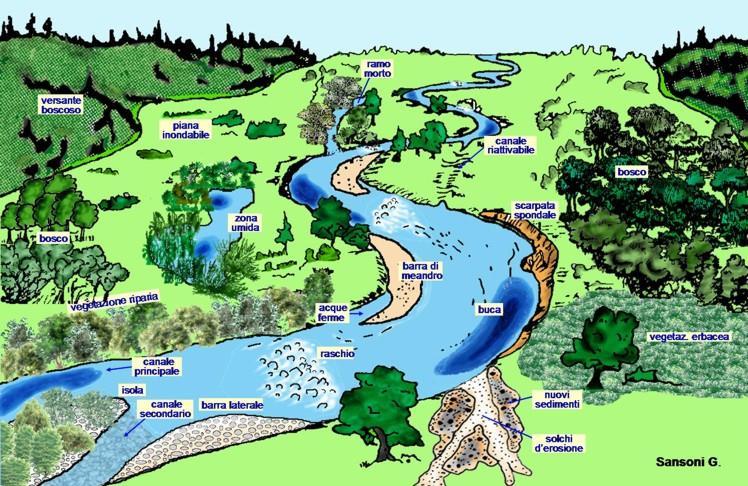 Gli ecosistemi fluviali CARATTERISTICHE: LUNGHEZZA