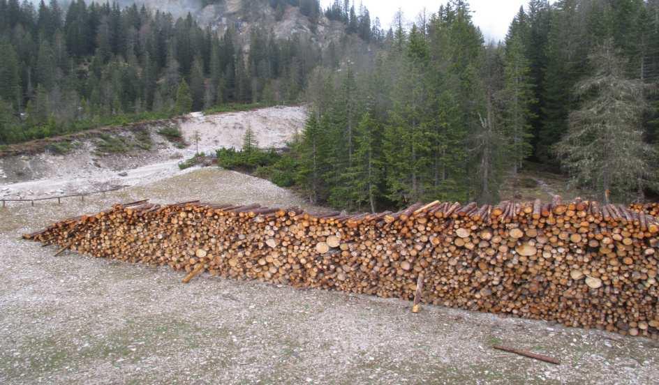 titolarità del legname e località di stoccaggio.