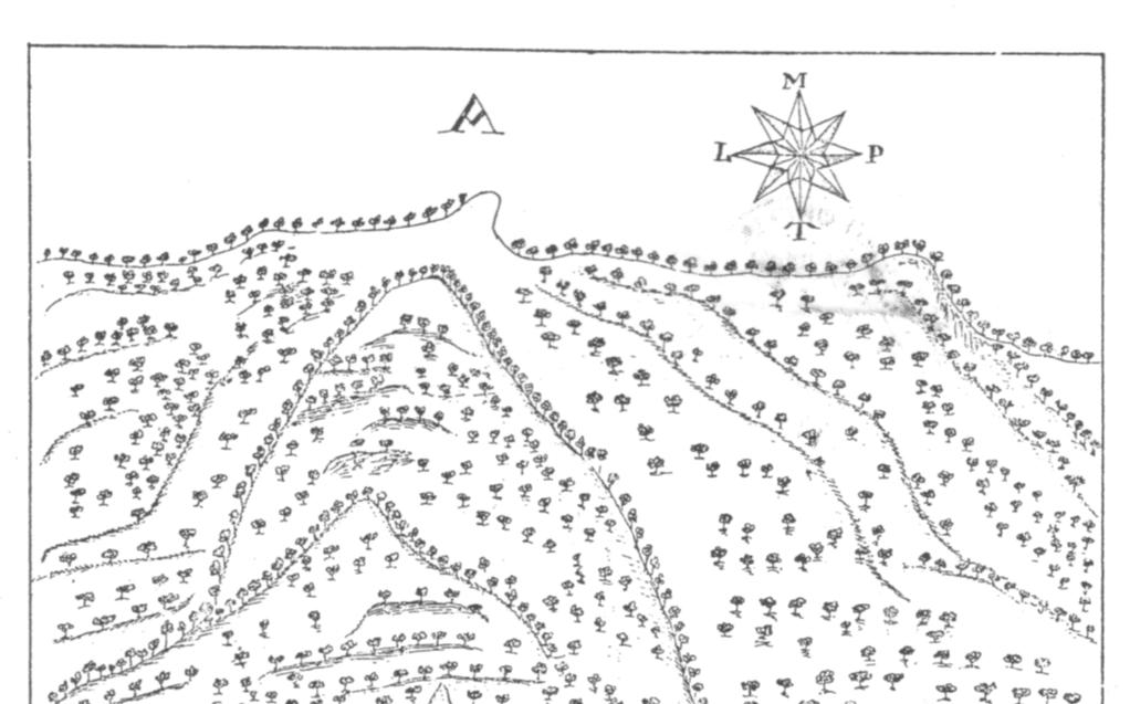 Tutti gli abitanti del villaggio, ad eccezione di due superstiti, sarebbero periti. Secondo un documento lasciatoci nel 1721 da Don Giovanni de Campi, Canonico di S.