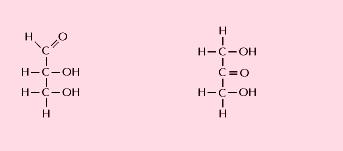 I polisaccaridi (zuccheri,amidi,cellulosa) sono carboidrati: C = carbo e H2O = idrato ).