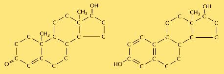 LIPIDI Tre importanti ruoli: (3) segnalazione cellulare, sia sotto forma di ormoni steroidei (ad es. estrogeno e testosterone) Gli ormoni steroidei sono derivati del colesterolo.