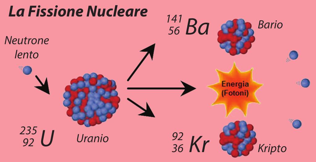 La fissione nucleare Fissione spontanea: tipica dei nuclei molto pesanti (A > 250) Fissione indotta: avviene dopo l assorbimento di un neutrone In entrambi i casi