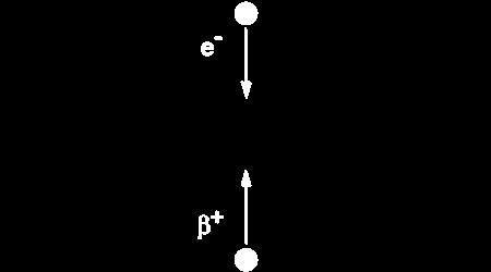 Le particelle ß + dopo circa 10E-9 secondi vanno incontro ad ANNICHILAZIONE, interagendo con un elettrone.