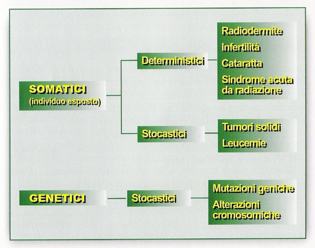 Si distinguono due tipi di danno