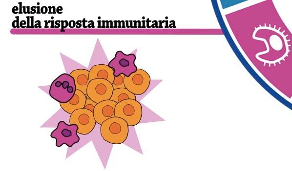 In fuga dagli ahacchi del sistema immunitario: le cellule tumorali non si fanno riconoscere Le cellule tumorali sfuggono al