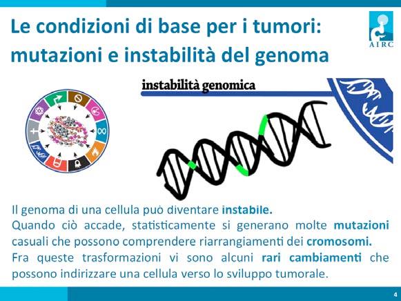 Una condizione necessaria allo sviluppo del cancro è l instabilità del patrimonio gene8co di una cellula, deca anche instabilità genomica.