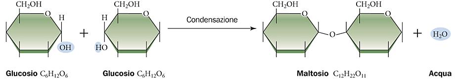 Formazione del legame