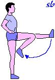 I Muscoli Scheletrici I muscoli si distinguono in base ai movimenti che sono in grado di