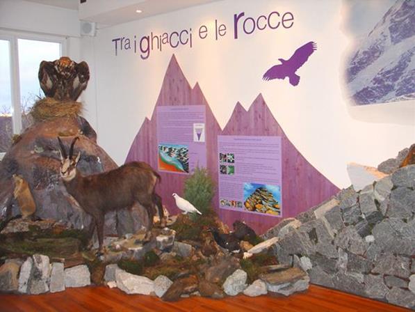 VISITE NEL TERRITORIO al Museo