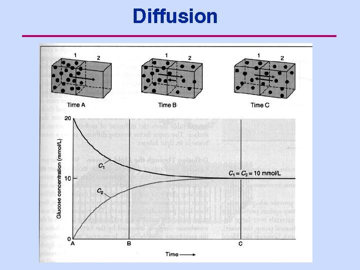 Diffusione la concentrazione di soluto varia nel tempo con un andamento esponenziale t o f f e C C C t C ) (