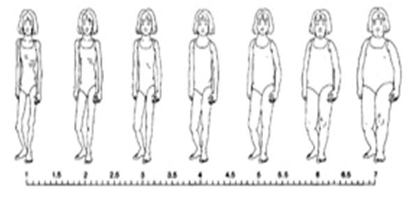 dell immagine corporea (Stodden et al., 2008) L'immagine del corpo non è semplicemente percezione ma comporta rappresentazioni mentali (Schilder, 1950).
