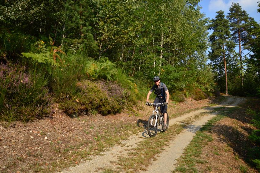 La parte bassa del Monte Cargiago Itinerario n.