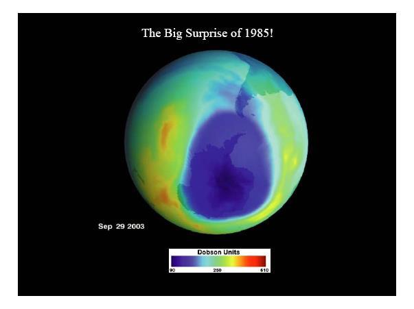 I meccanismi Impatto delle popolazioni umane sull ambiente