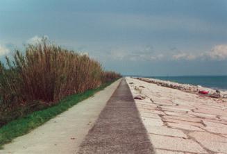 6 Atlante Geologico della Provincia di Venezia - Difese radenti: si tratta delle opere che sostituiscono la linea di riva, o che hanno un tratto di spiaggia prospiciente molto limitato (~10 m).