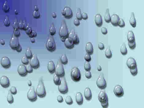 Gli esseri viventi composti da una sola cellula sono numerosissimi. In una sola goccia d acqua se ne possono contare migliaia.