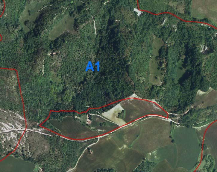 Unione Montana Acquacheta - Romagna Toscana Piano Intercomunale delle Attività Estrattive ASPETTI ECOLOGICO-NATURALISTICI - SCHEDA MONOGRAFICA RIEPILOGATIVA COMUNE ROCCA S.