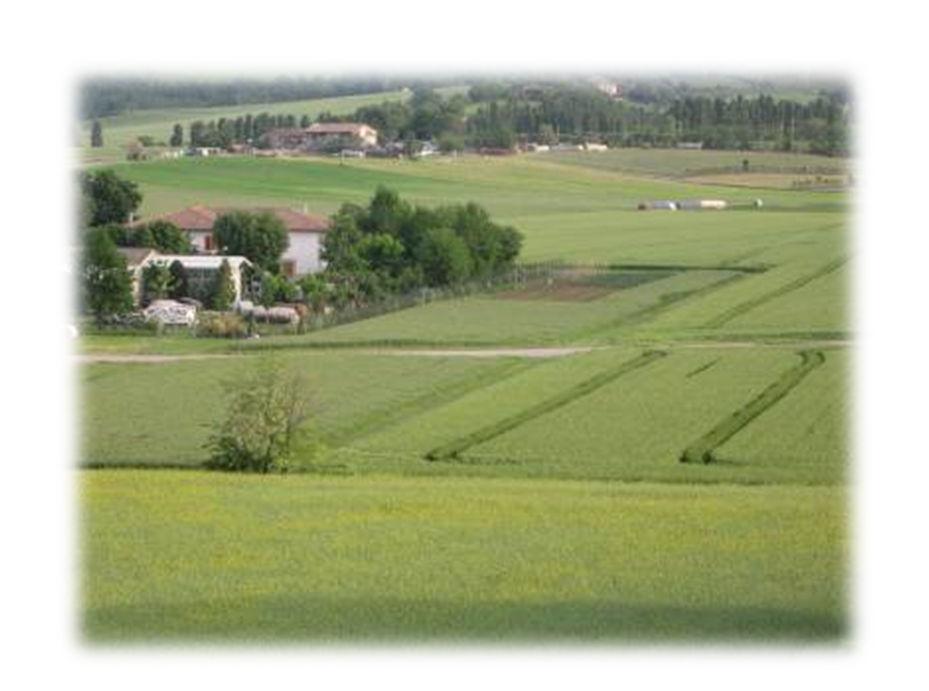 tecnici rispettando le Buone Pratiche Agricole durante: l acquisto il trasporto lo stoccaggio la preparazione