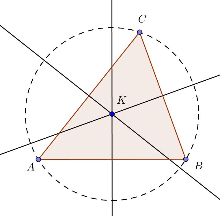 Punti notevoli di un triangolo Circocentro Abbiamo dimostrato che per tre punti non allineati passa una ed una sola circonferenza: quindi in un triangolo gli assi dei lati si incontrano in uno stesso
