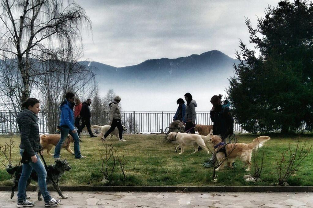 Foto: Lezione pratica nel corso per