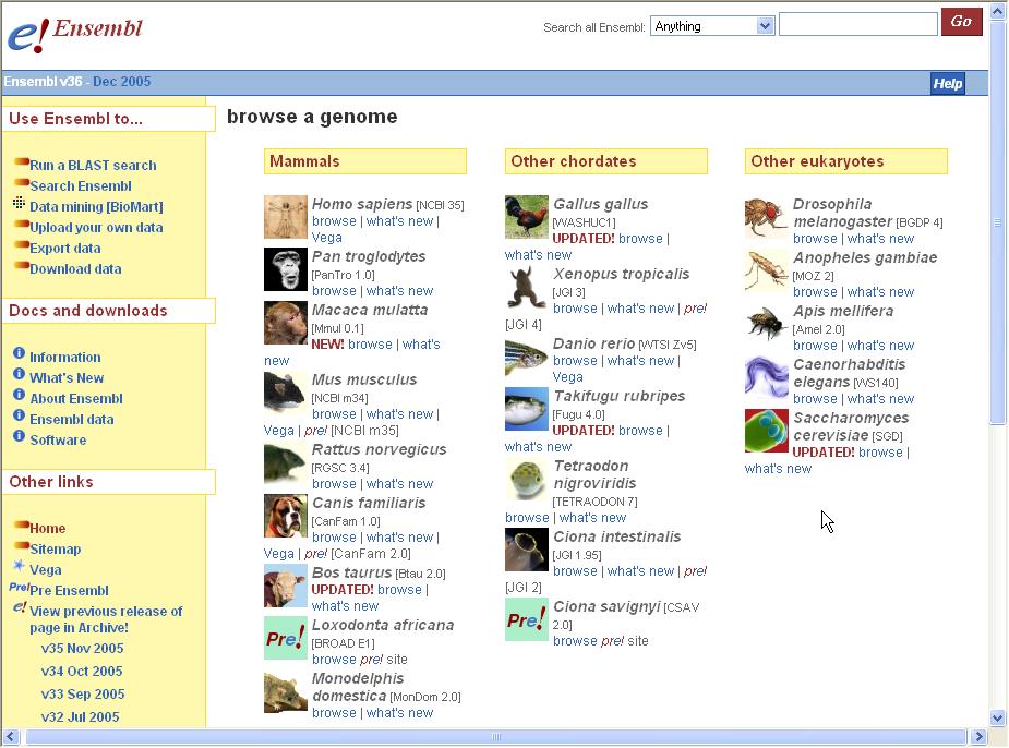 Estrazione dati DB ENSEMBL e DB UCSC Figura: Ensembl genome