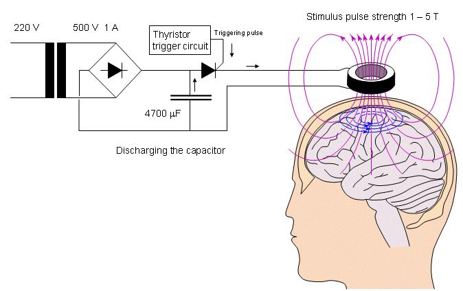 LO STIMOLATORE MAGNETICO Per produrre la corrente indotta è necessario uno stimolatore magnetico che fondamentalmente è