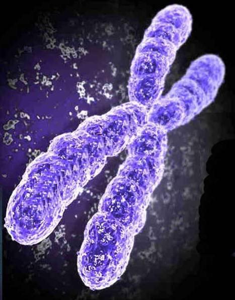 C Replicazione del DNA DNA