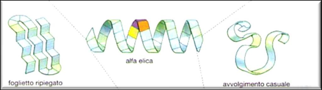 ricorda le pieghe del mantice a soffietto di una fisarmonica, e il meno organizzato avvolgimento casuale costituiscono i possibili livelli secondari di